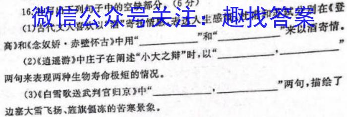 安徽省九年级2022-2023学年新课标闯关卷（十三）AH语文