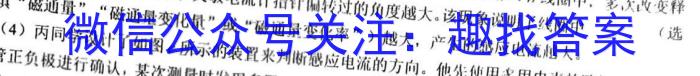 江西省青山湖区2023年3月九年级质量调研试卷物理.