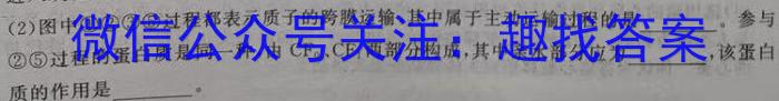 2023衡水金卷先享题信息卷 新高考新教材(五)生物