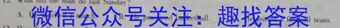 2023年陕西省初中学业水平考试·仿真摸底卷（A）英语