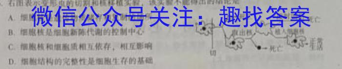 2023年普通高等学校招生全国统一考试 23(新教材)·JJ·YTCT 金卷·押题猜题(四)4生物