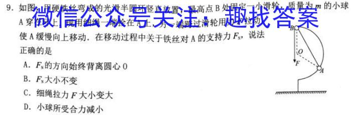 河北省2023届高三年级大数据应用调研联合测评(III）.物理