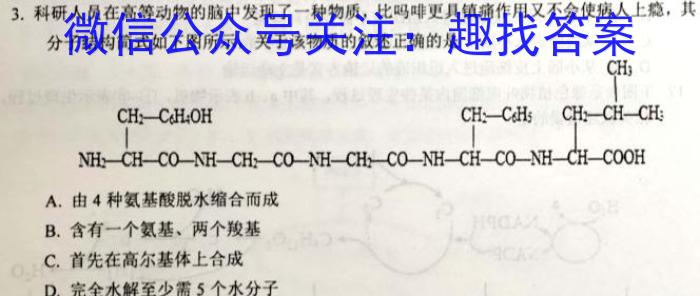 2022-2023学年陕西省高二试卷2月联考(23-239B)生物