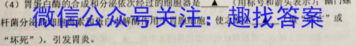 江西省2024-2023学年度九年级阶段性练习(四)4生物