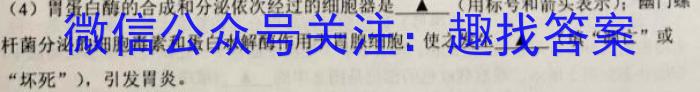 邢台市2022~2023学年高一(上)教学质量检测(23-219A)生物