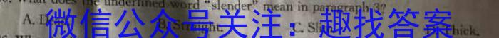 安徽第一卷·2023年九年级中考第一轮复习（七）英语