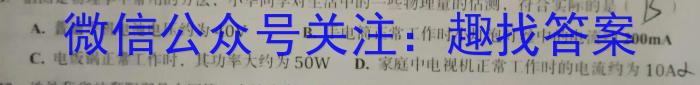 安徽第一卷·2023年九年级中考第一轮复习（九）.物理