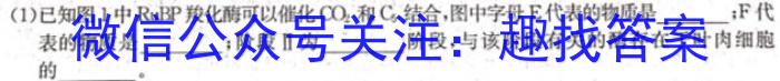 2023年全国高考·冲刺押题卷(六)6生物