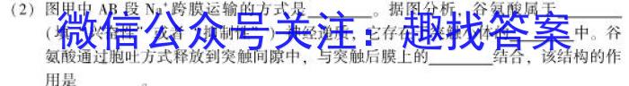 1号卷·2023年安徽省普通高中学业水平合格性考试模拟试题(四)4生物