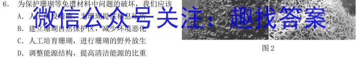 2022-2023衡水金卷先享题·月考卷下学期高三一调(新教材)地理