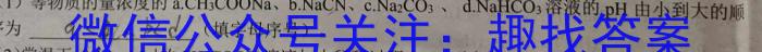 汕尾市2024-2023学年度第一学期高中一年级教学质量监测化学