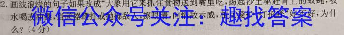 桂柳文化2023届高三桂柳鸿图信息冲刺金卷二(2)语文