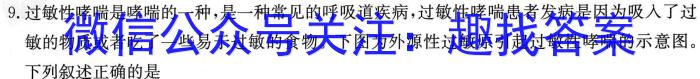 ［宝鸡二模］2023届宝鸡市高考模拟测试（二）生物试卷答案