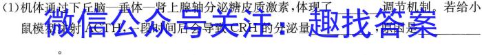 考前信息卷·第五辑 砺剑·2023相约高考 强基提能拔高卷(四)4生物试卷答案