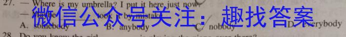 名师卷2023届普通高等学校招生全国统一考试仿真模拟卷(六)6英语试题