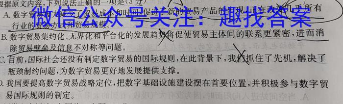 安徽省2023年名校之约·中考导向总复习模拟样卷（八）语文