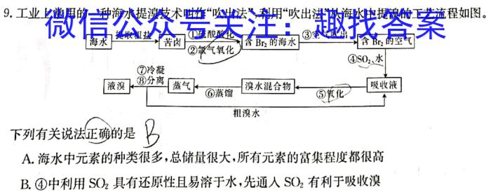 九师联盟 商开大联考2024-2023学年高一上学期期末考试化学