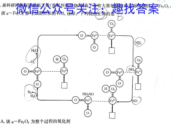 2023届先知模拟卷(四)4化学