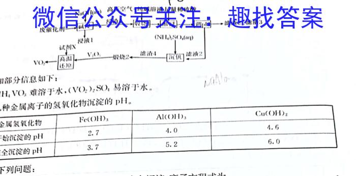 安徽第一卷·2023年九年级中考第一轮复习（十二）化学