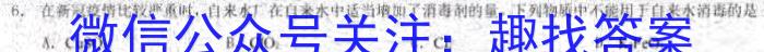 2023年安徽省教育教学联盟大联考·中考密卷（一）化学