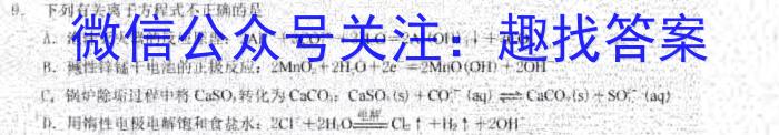 陕西省2023届九年级2月联考（23-CZ69c·金卷一）化学