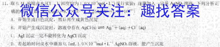 安徽第一卷·2023年九年级中考第一轮复习（十二）化学