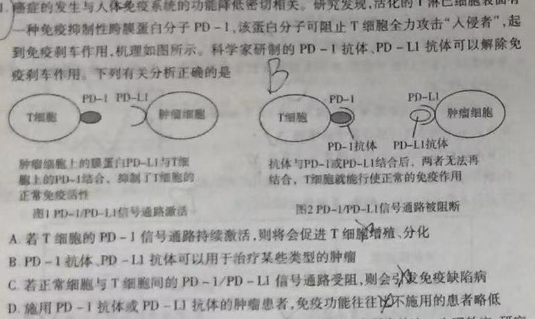 2022~2023学年核心突破QG(十六)16生物