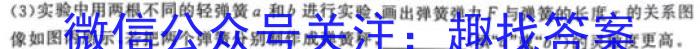 2023年普通高等学校招生全国统一考试 23·JJ·YTCT 金卷·押题猜题(二)2物理`