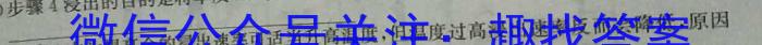 2023届衡水金卷先享题信息卷 全国甲卷A二化学