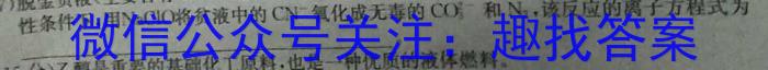 张掖市2022-2023学年高三下学期第一次全市联考化学