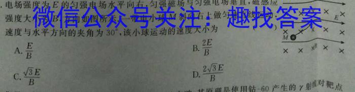 安徽省十联考 2022-2023学年度第二学期高二开学摸底联考(232394D).物理