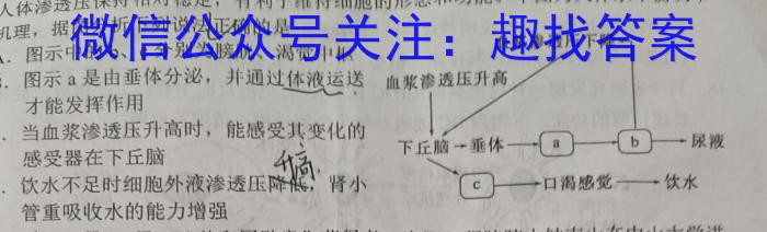 琢名小渔河北省2023届高三专项定向测试生物