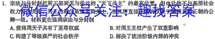 2023届衡水金卷西南名校高三第一次大联考历史