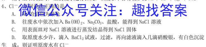 皖智教育 安徽第一卷·2023年中考安徽名校大联考试卷(三)3化学