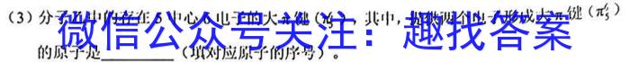 九龙坡区2022-2023学年教育质量全面监测(中学)高一上学期化学