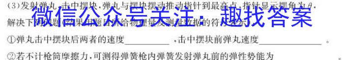 安徽省中考必刷卷·2023年名校内部卷（三）物理.