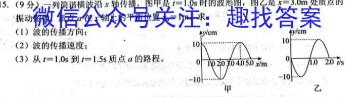 2023年普通高等学校招生全国统一考试金卷仿真密卷(十二)12 23新高考·JJ·FZMJ物理.