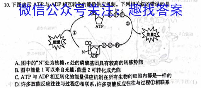 2023年1月葫芦岛市高三普通高中学业质量监测考试生物试卷答案