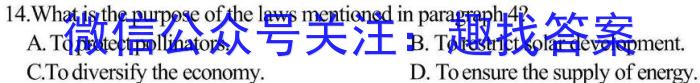 2023届普通高等学校招生全国统一考试 2月青桐鸣大联考(高三)(新教材)英语