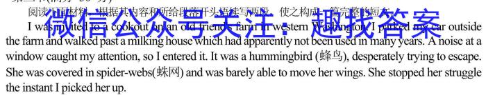 2023年普通高等学校招生全国统一考试进阶模拟试卷(仿真冲刺卷)(二)2英语