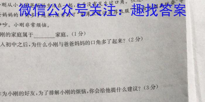 安徽省九年级2022-2023学年新课标闯关卷（十四）AH政治1