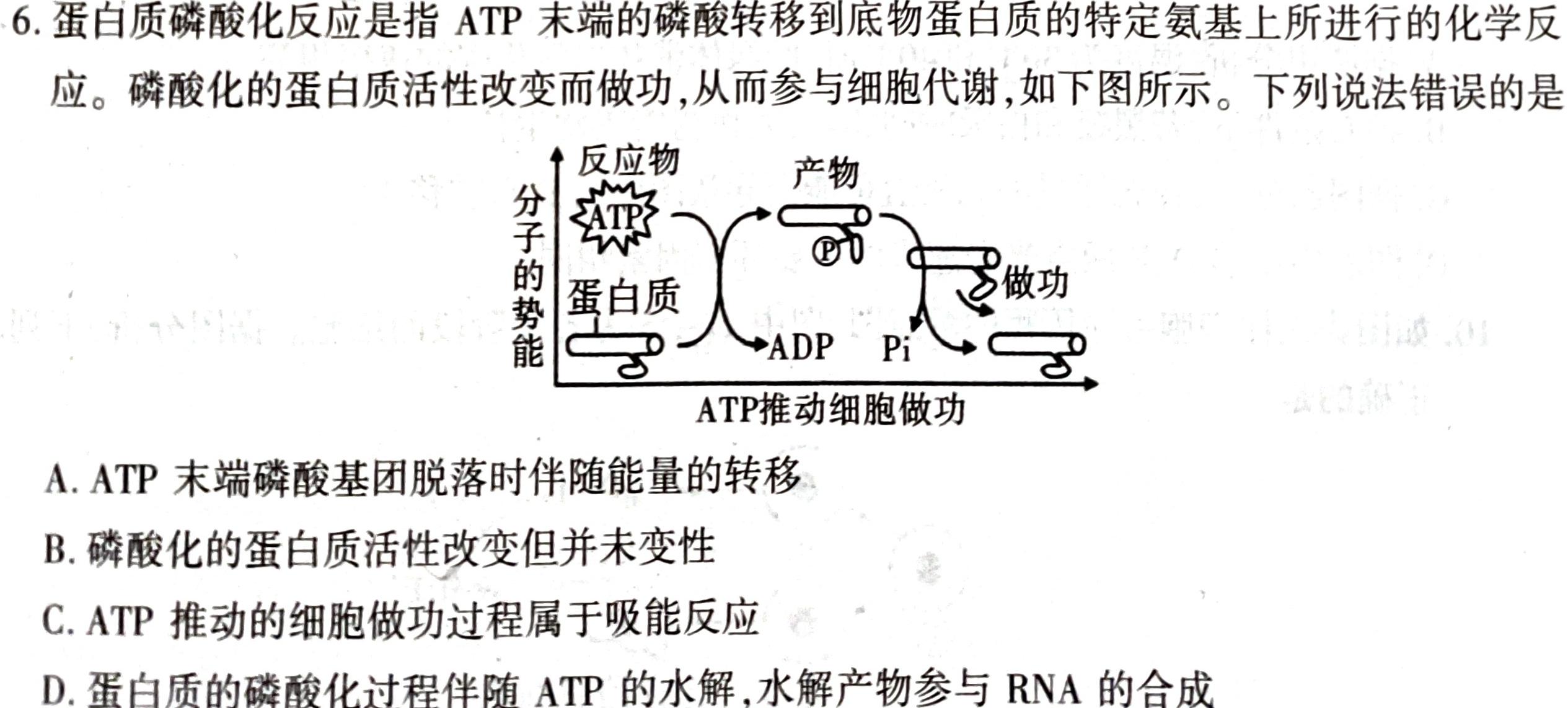 2023年普通高等学校招生伯乐马模拟考试(二)2生物