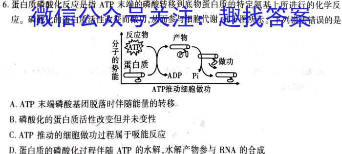 2022-2023衡水金卷先享题高考备考专项提分卷(新教材)高考大题分组练(2)试题生物