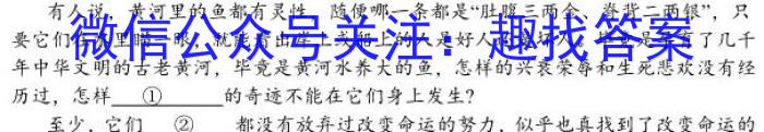 金寨县2022-2023学年度九年级第一学期期末质量监测语文