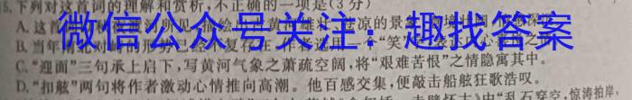 2023衡水金卷先享题信息卷 新高考新教材(四)语文