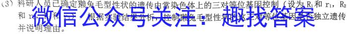 山西省2023届九年级第一学期双减教学展示（二）生物