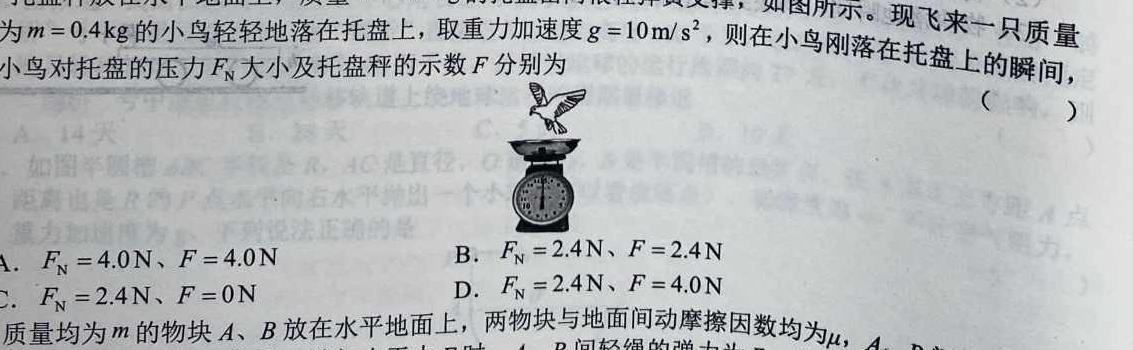 2023届九师联盟高三年级2月联考（X）-物理