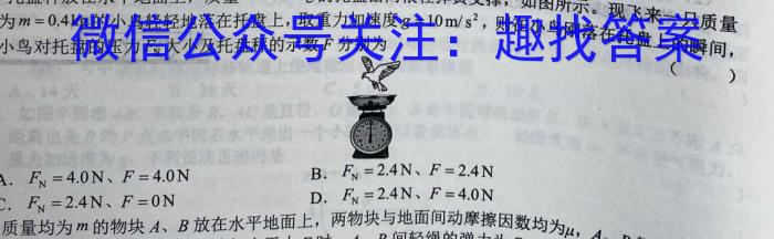 2022-2023学年陕西省高一2月联考(23-250A).物理