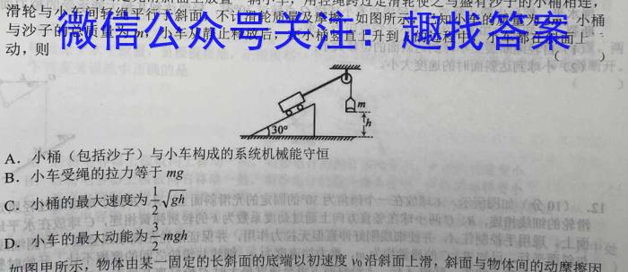 2023届桂柳文化高三桂柳鸿图信息冲刺金卷一(1)物理`