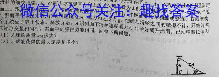 2023届新高考省份高三年级下学期3月联考(808C)物理.